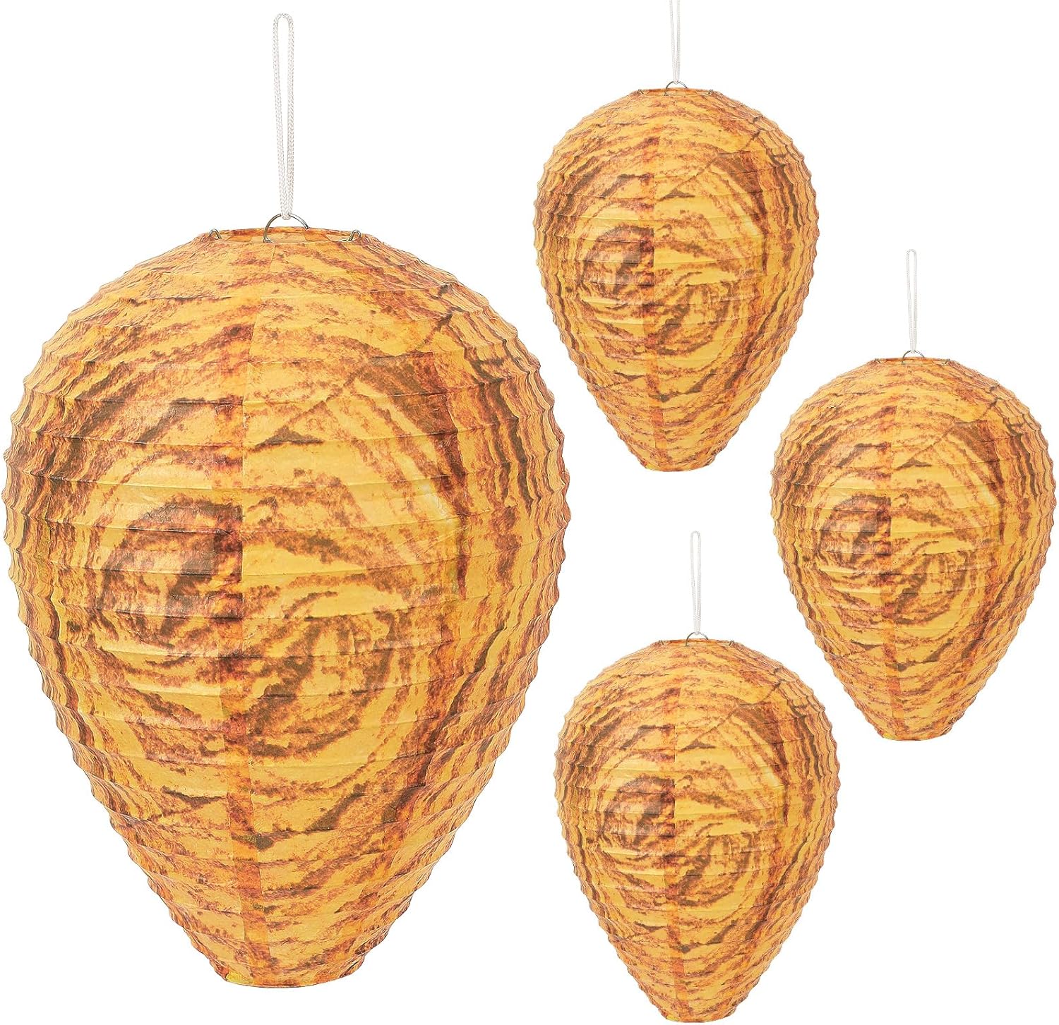 Orange -4PC